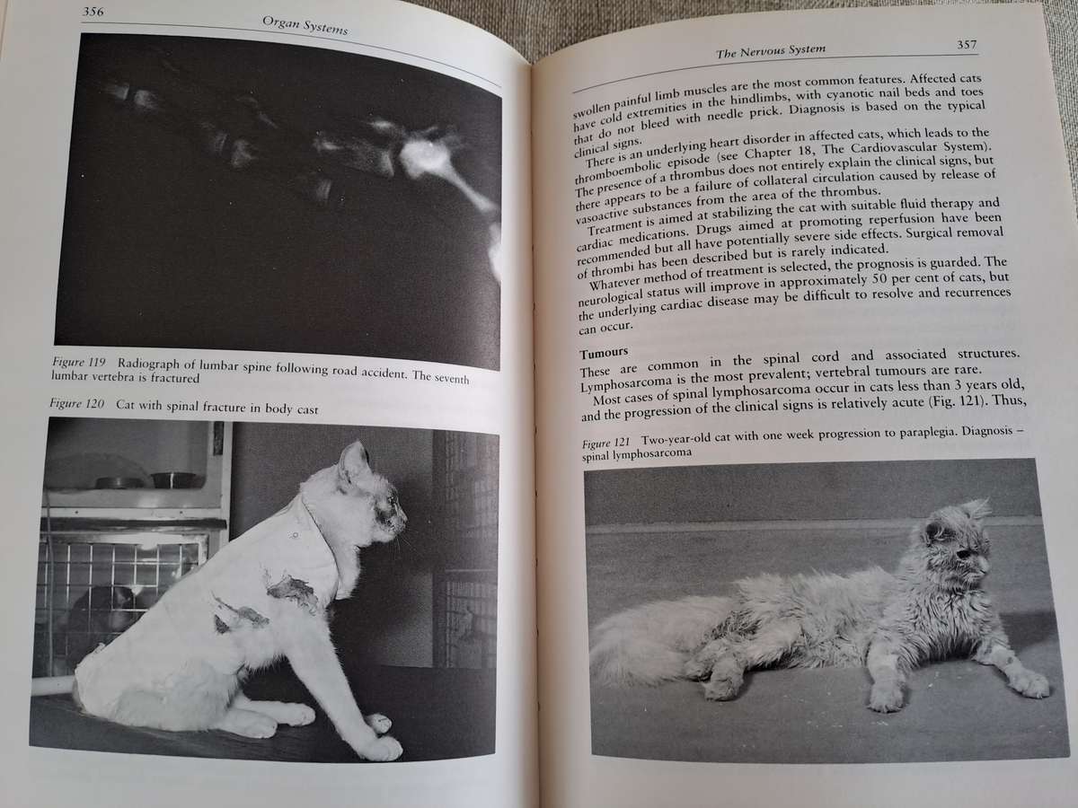 Veterinary Notes for Cat Owners - Trevor & Jean Turner