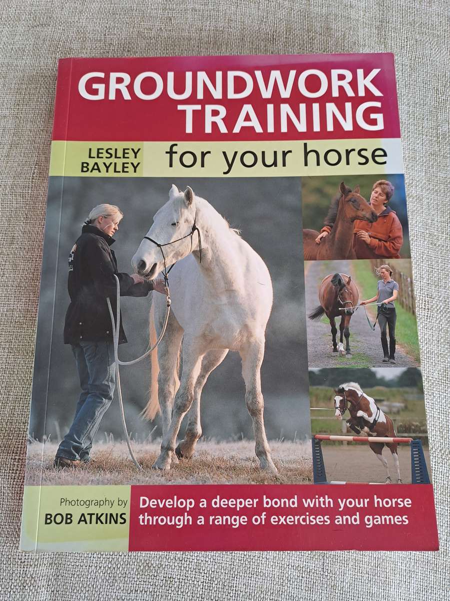 Groundwork Training for your horse - Lesley Bayley