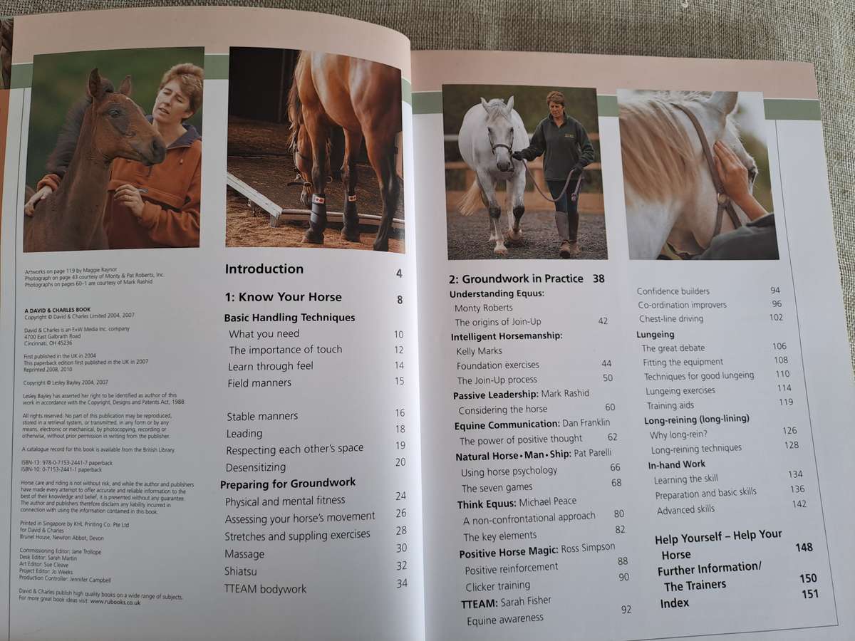 Groundwork Training for your horse - Lesley Bayley