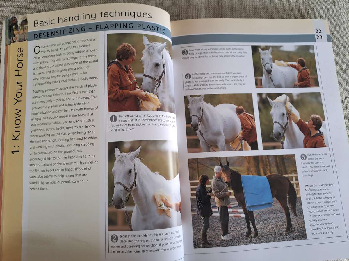 Groundwork Training for your horse - Lesley Bayley