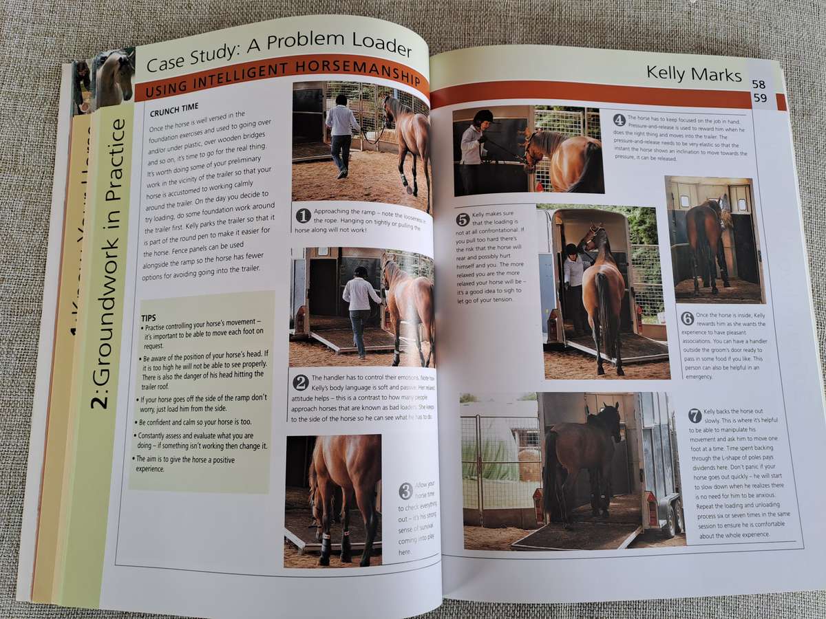 Groundwork Training for your horse - Lesley Bayley