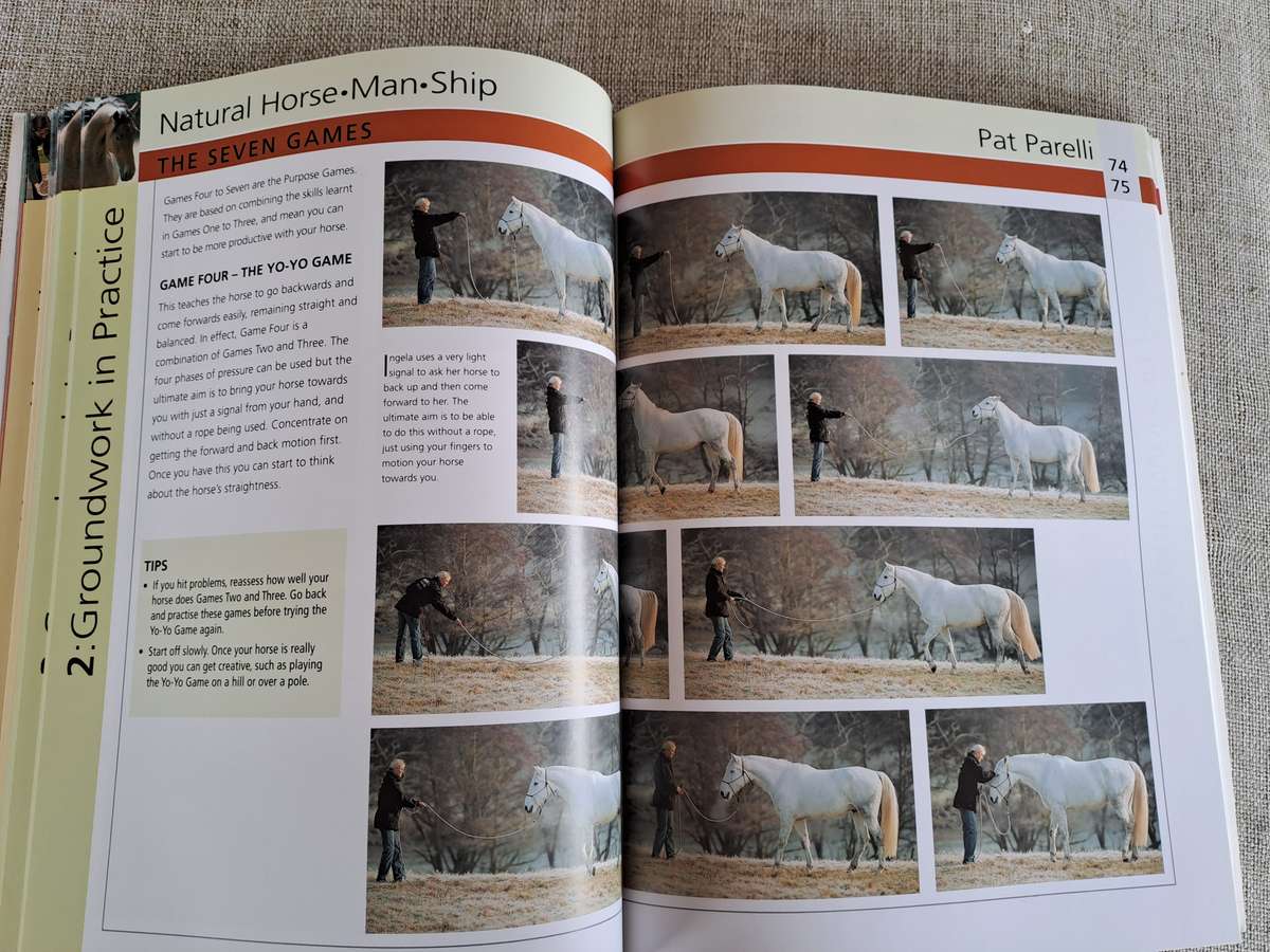 Groundwork Training for your horse - Lesley Bayley