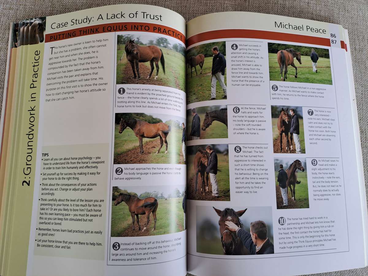 Groundwork Training for your horse - Lesley Bayley