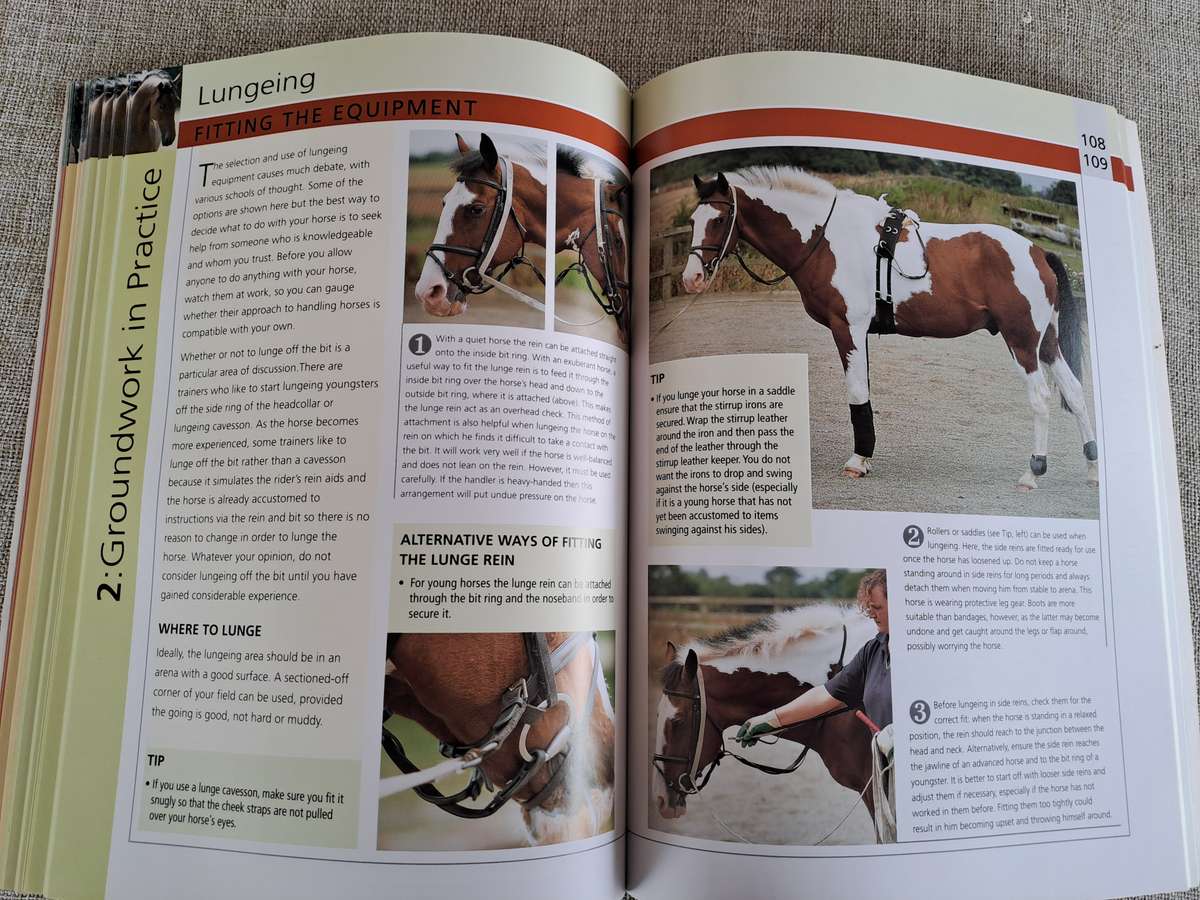 Groundwork Training for your horse - Lesley Bayley