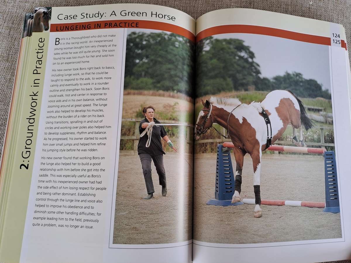 Groundwork Training for your horse - Lesley Bayley