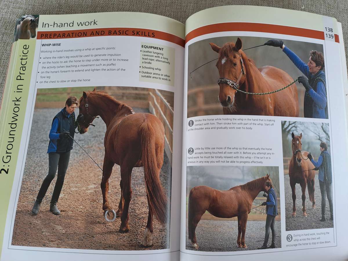 Groundwork Training for your horse - Lesley Bayley
