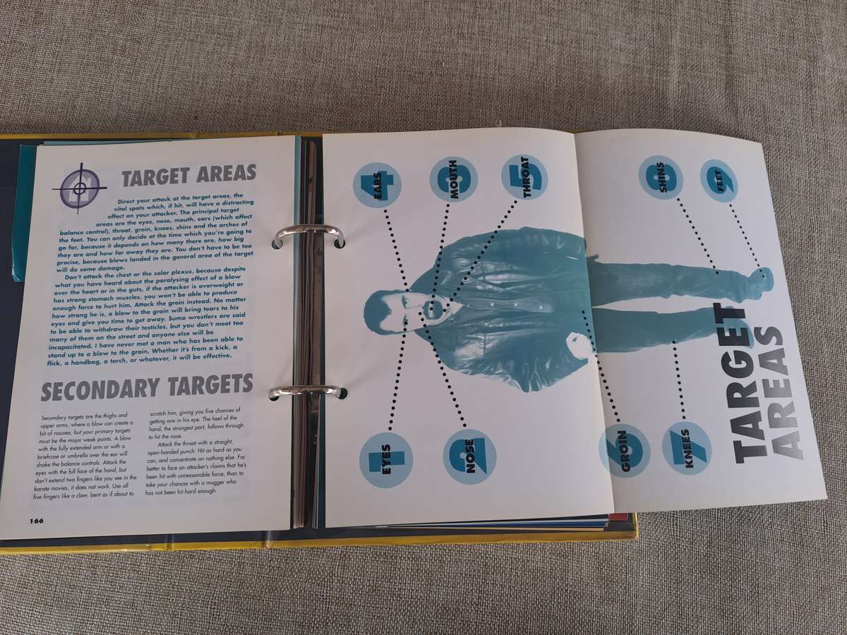 SAS Security Handbook