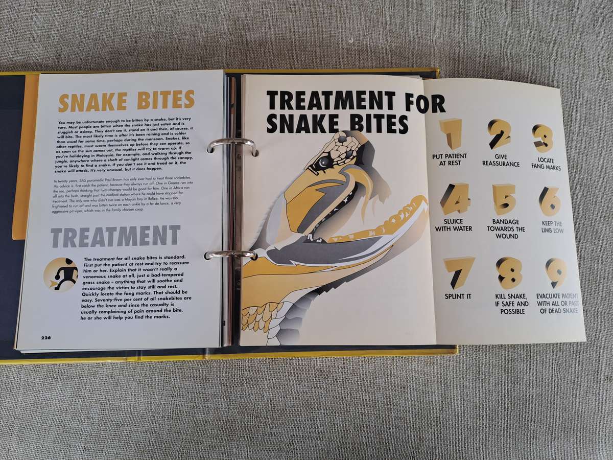 SAS Security Handbook