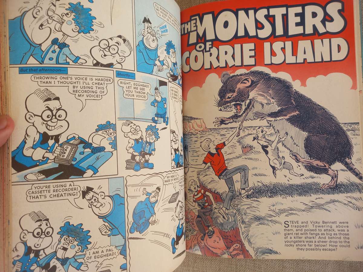 The Dandy Book - Annual - 1987