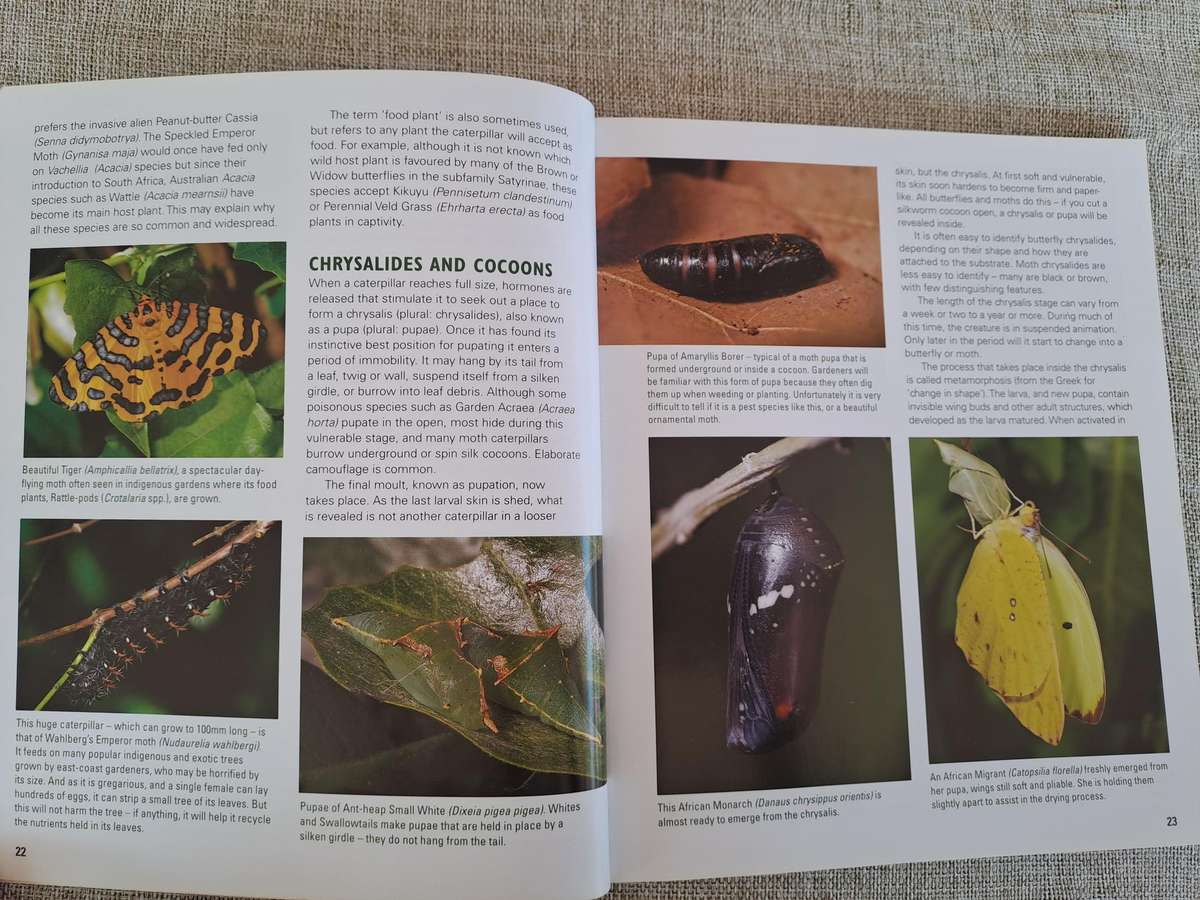 Gardening for Butterflies: Planning and Planting an insect-friendly garden in South Africa (Signed)