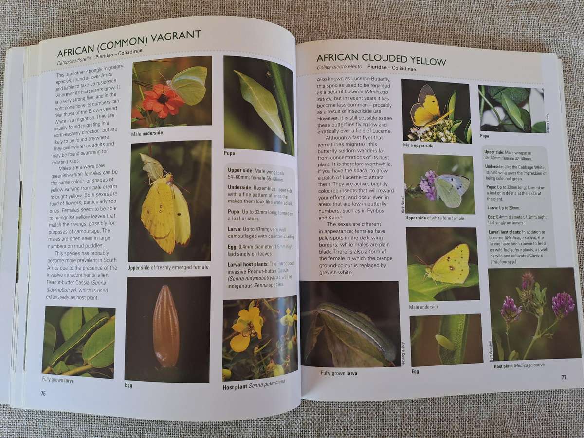 Gardening for Butterflies: Planning and Planting an insect-friendly garden in South Africa (Signed)