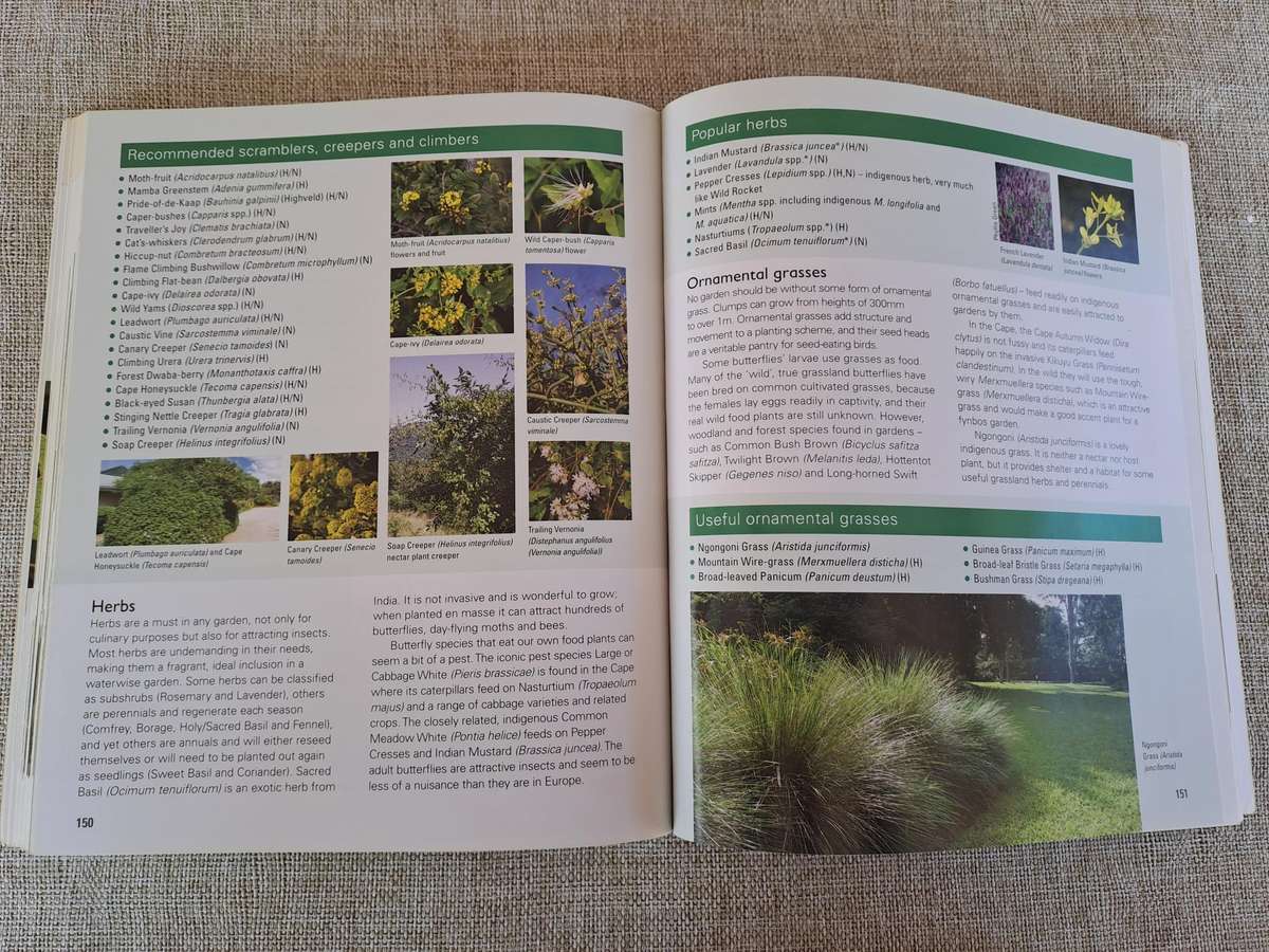 Gardening for Butterflies: Planning and Planting an insect-friendly garden in South Africa (Signed)