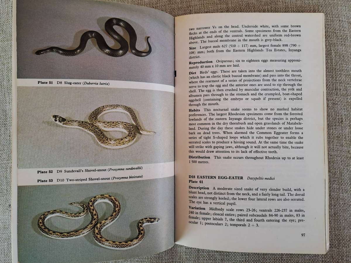 Snakes of Rhodesia  Bundu Series
