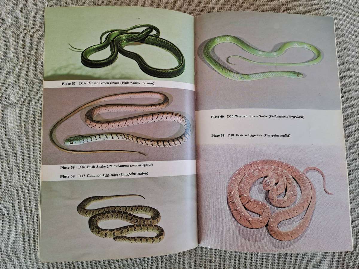 Snakes of Rhodesia  Bundu Series
