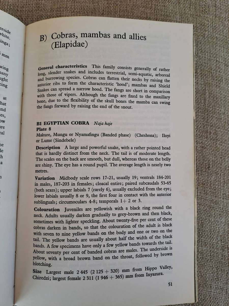 Snakes of Rhodesia  Bundu Series