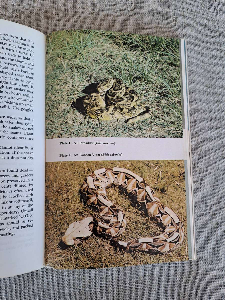 Snakes of Rhodesia  Bundu Series