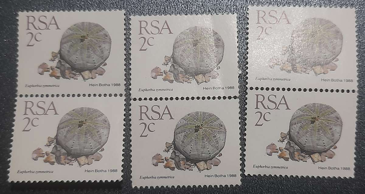 South Africa  Euphorbia Symmetrica 1988  2c ( 3 pairs )