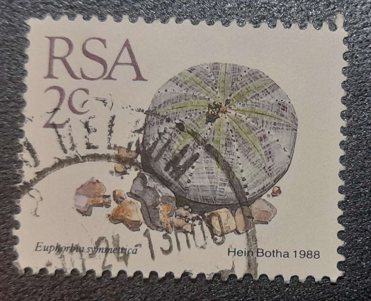 South Africa  Euphorbia Symmetrica 1988  2c  Stamp