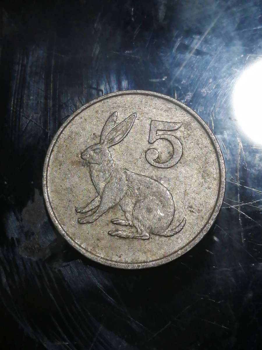Zimbabwe coin 5c of 1988