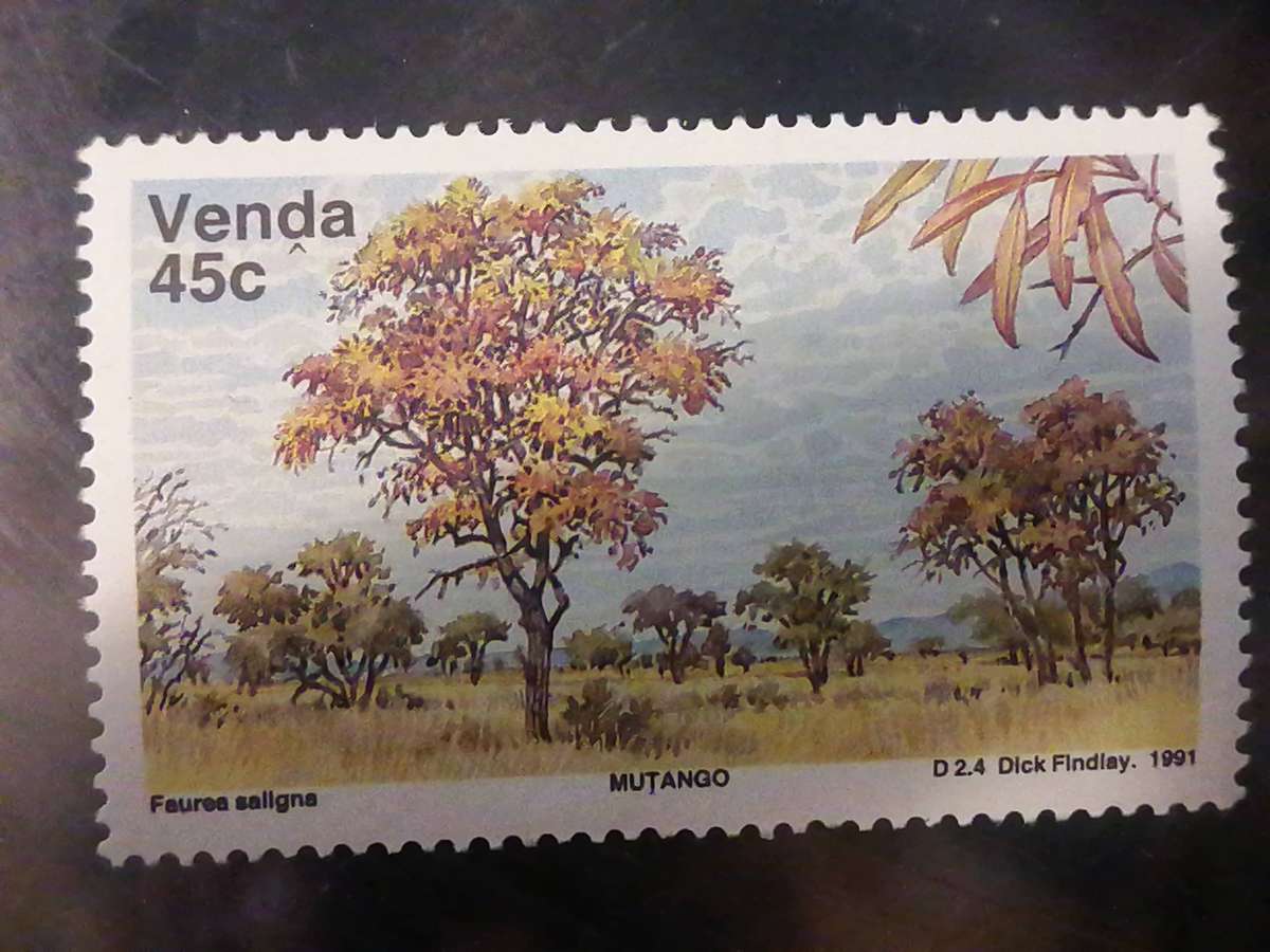Venda 45c  1991