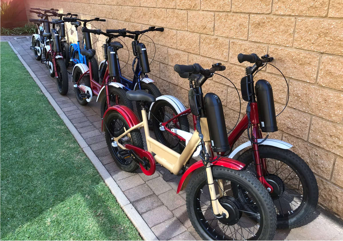 E-BIKE GOLF (DELIVERY INCLUDED)
