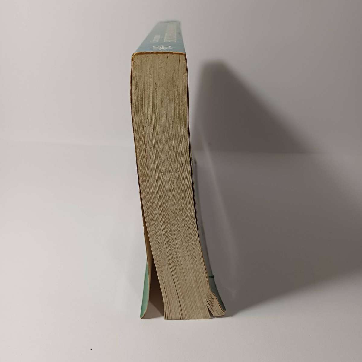 Cunningham's Encyclopedia of Magical Herbs - A Practitioner's Guide to Herbal Magick