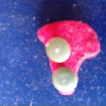 Ab Sailing Instructorss Badge - All Pins Intact