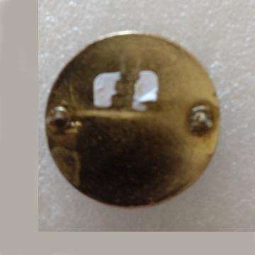 S.A Dog Handlers Badge With New S.A Flag In Background - Pins Intact