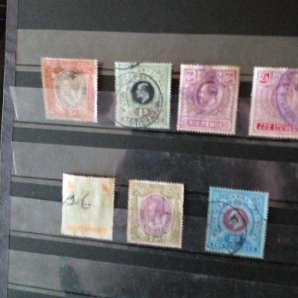 High Value Southern Africa Stamps - Sed - Selling As Is - See Photo's
