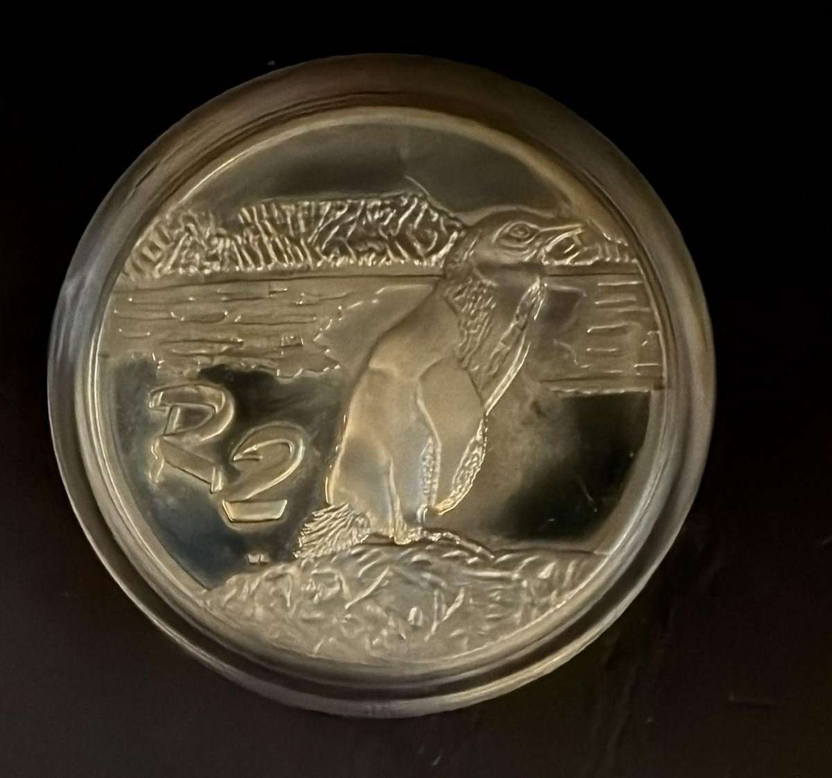 SILVER 1 OUNCE - Silver Proof R2 - Jackass Penguin - Mintage 2053