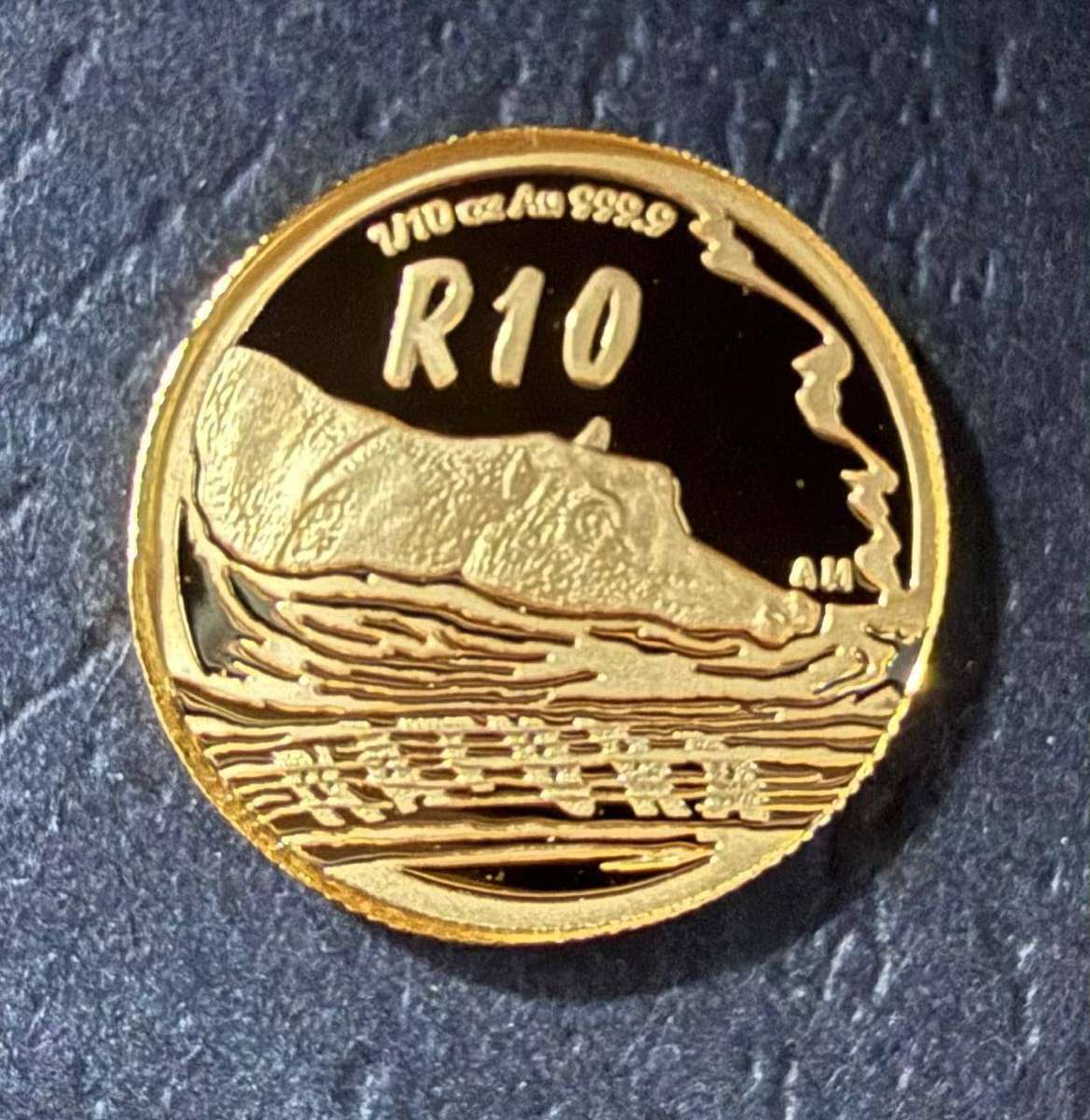 Gold 24ct Tenth oz R10 - Natura Proof Coin - Hippopotamus 2005 - low mintage only 953