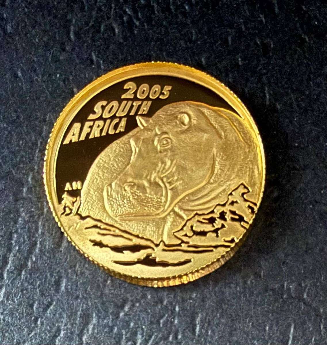 Gold 24ct Tenth oz R10 - Natura Proof Coin - Hippopotamus 2005 - low mintage only 953