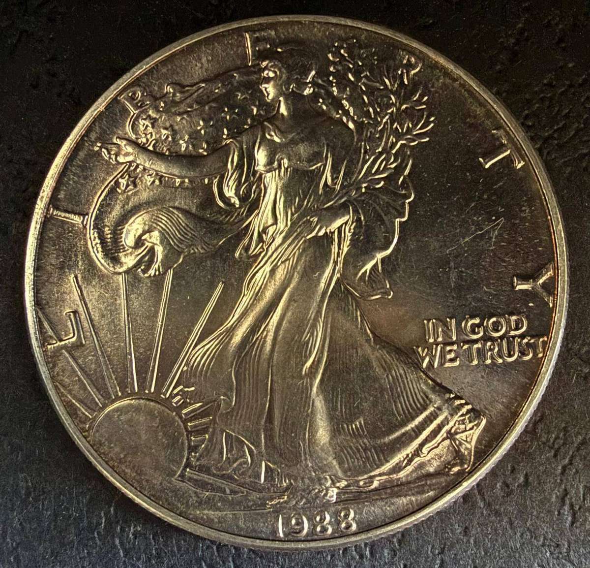 Silver Dollar 1 Ounce American 1987 Walking Liberty BALD EAGLE