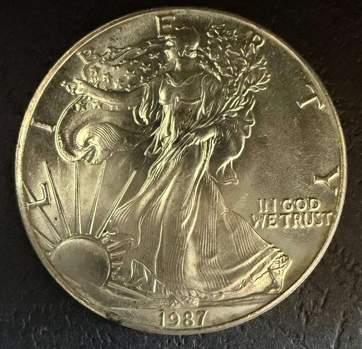 Silver Dollar 1 Ounce American 1987 Walking Liberty BALD EAGLE