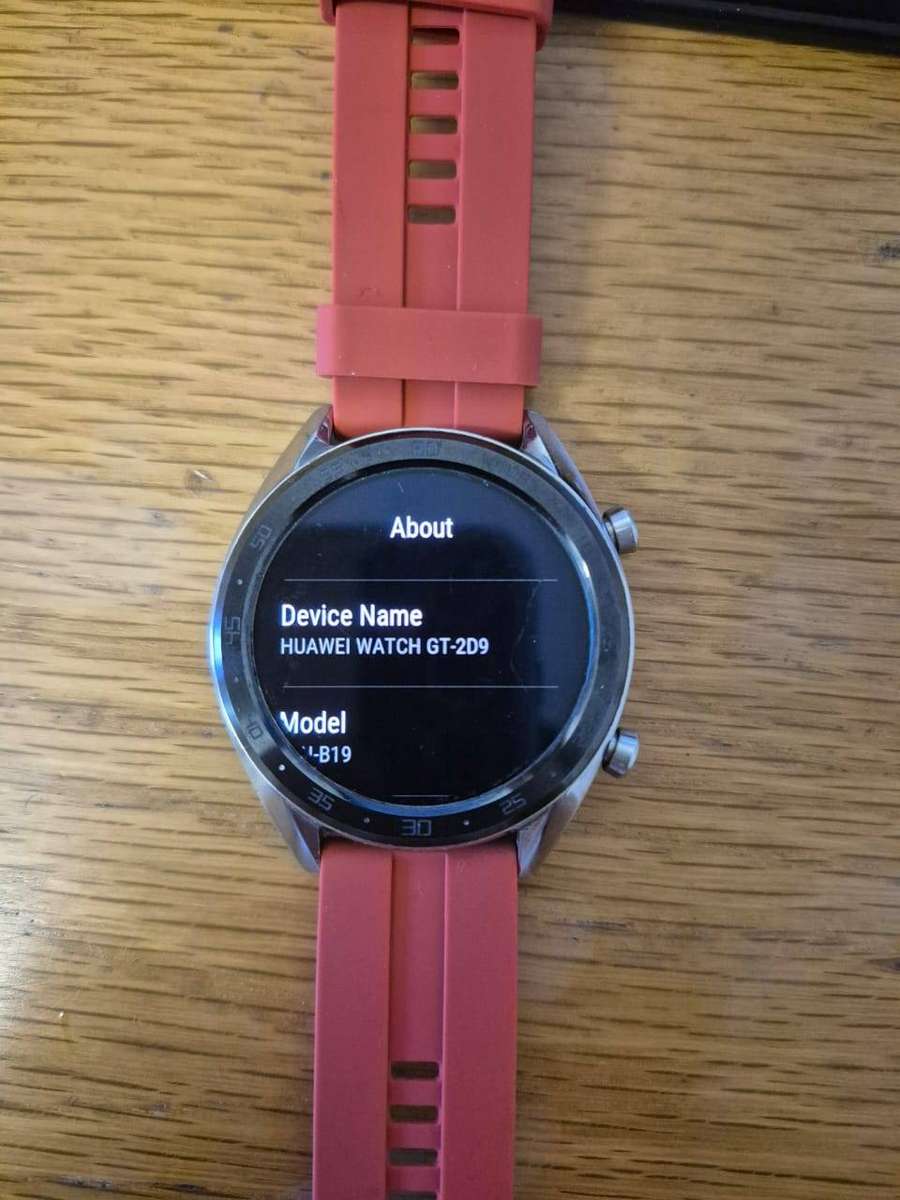 Huawei Smartwatch GT2D9