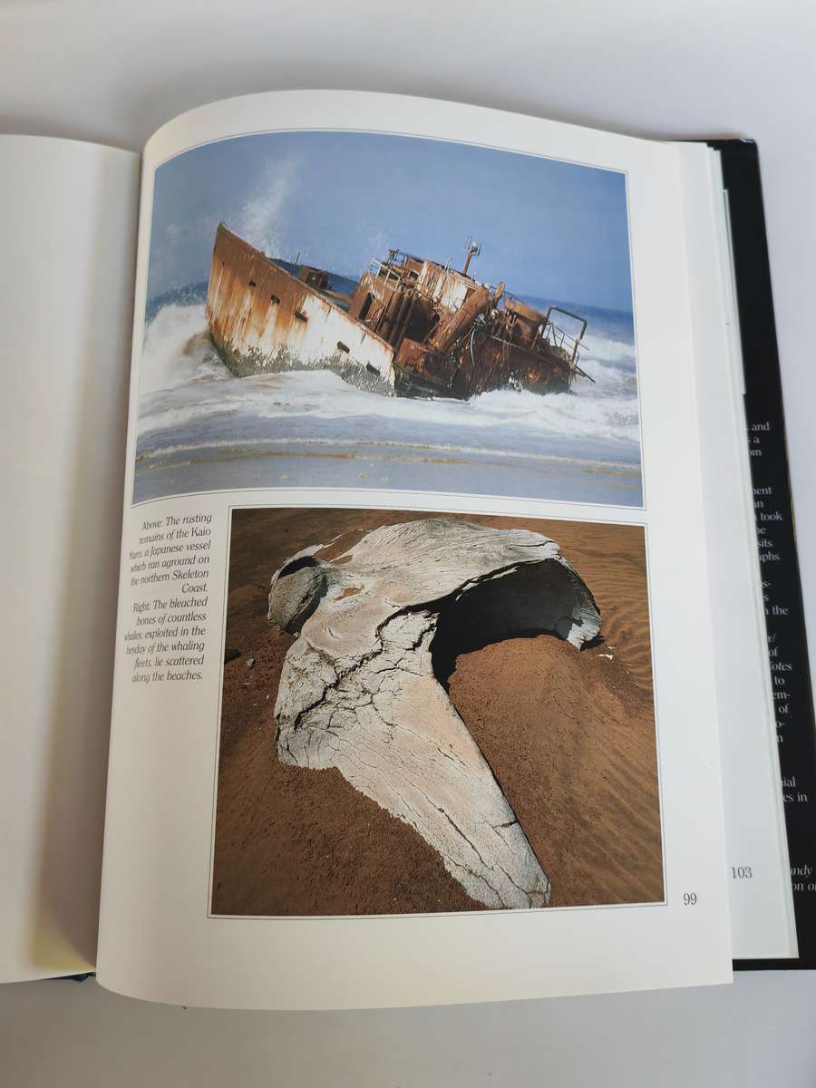 Skeleton Coast by Amy Schoeman