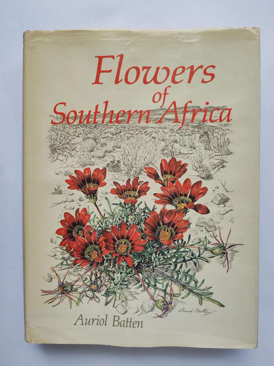 Flowers of Southern Africa by Auriol Ballen