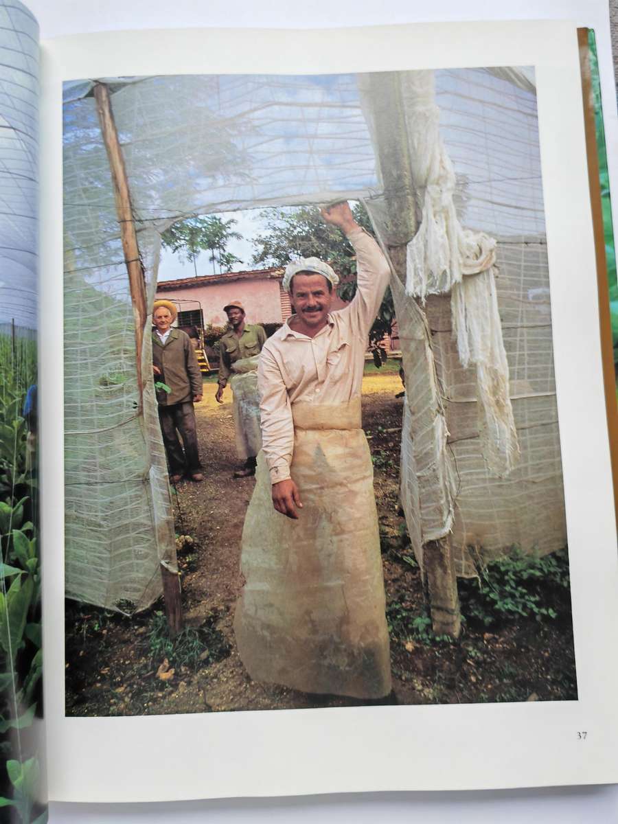 Habanos, The Story of the Havana Cigar - Nancy Stout