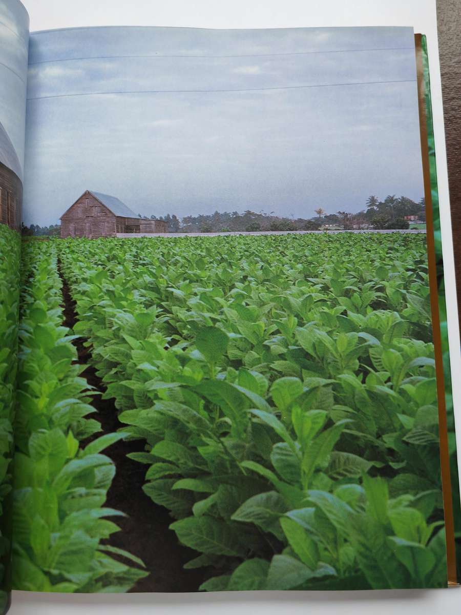 Habanos, The Story of the Havana Cigar - Nancy Stout