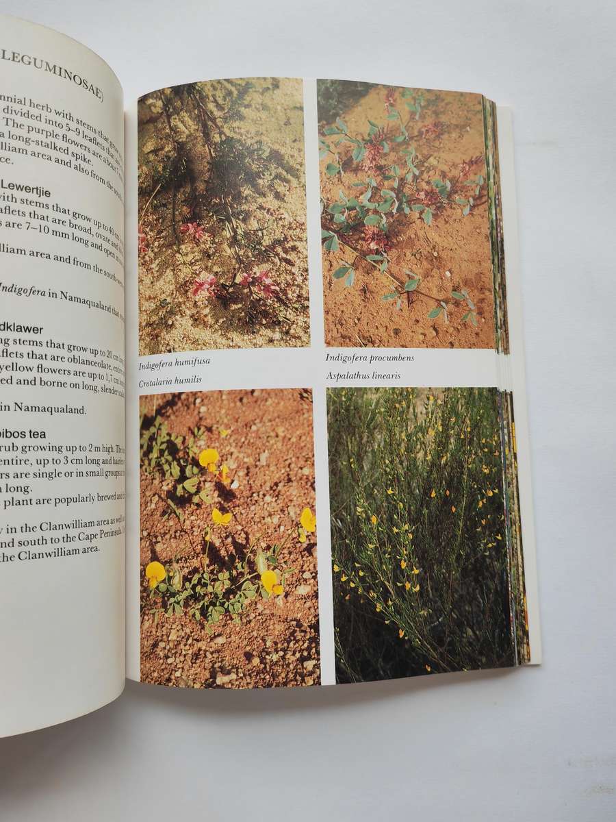 Namaqualand and Clanwilliam : South African Wild Flower Guide by A. Le Roux & E. Schelpe