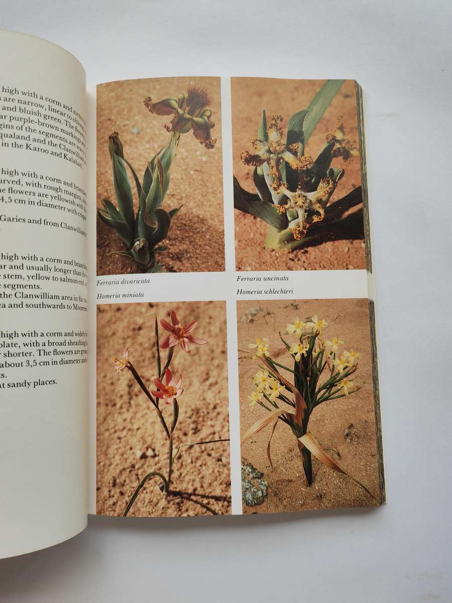 Namaqualand and Clanwilliam : South African Wild Flower Guide by A. Le Roux & E. Schelpe
