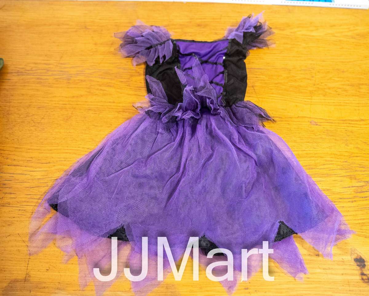 Kiddies Fairie Dress