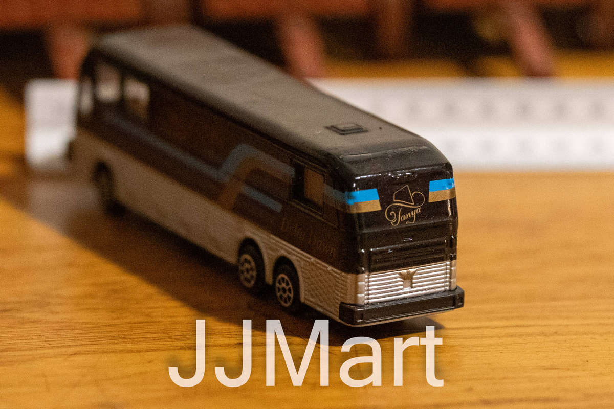 Vintage 1993 Road Champs Tanya Tucker Die Cast Country Tour Bus DELTA DAWN RARE
