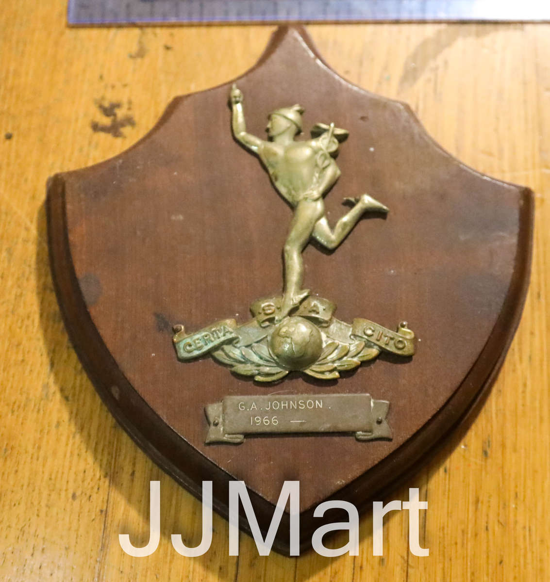 SA Army Signal Corps Plaque - 1966