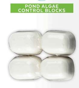 Aquamaster Pond Algae Control Block 12pk (Unboxed)
