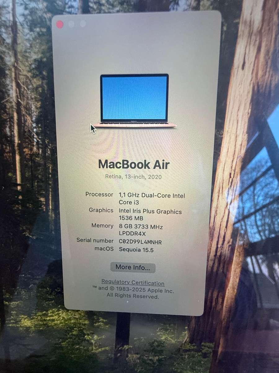 Apple MacBook Air 2020