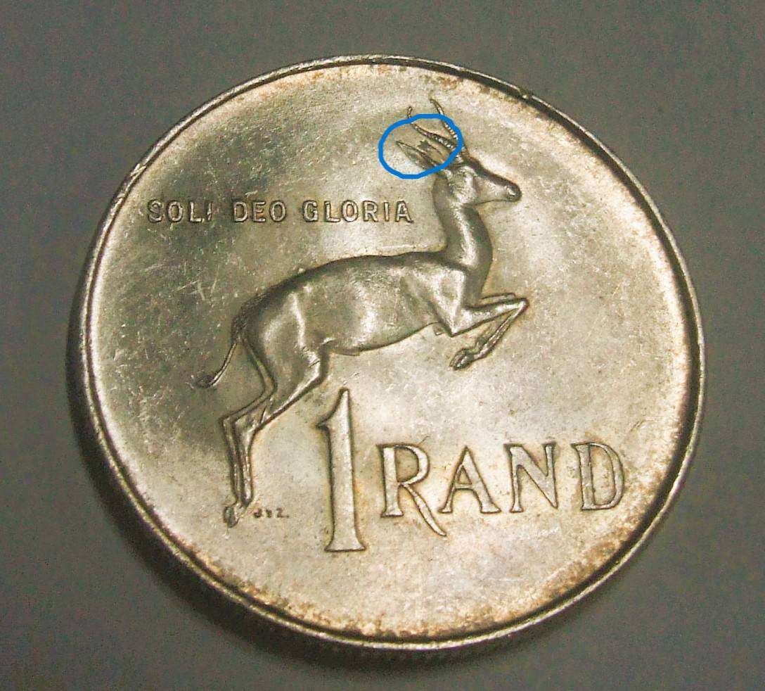 1966 TAGGED EAR SPRINGBOK ,,,,,,,,SILVER