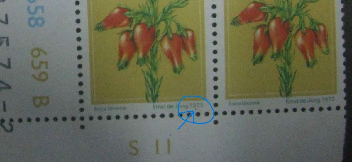 control block of four 2c stamps from South Africa's 2nd Definitive series, originally  WITH ERRORs