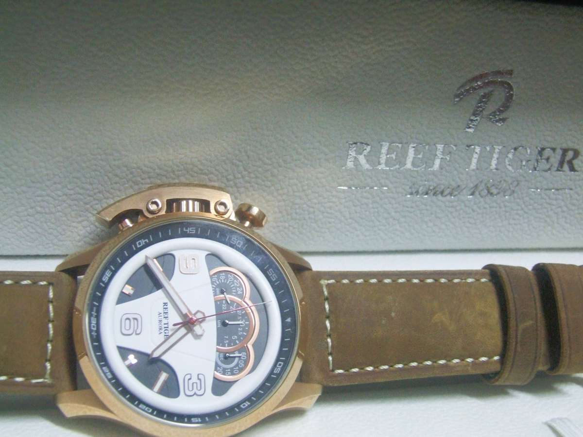 This watch is a Reef Tiger Aurora Rally S2 model,