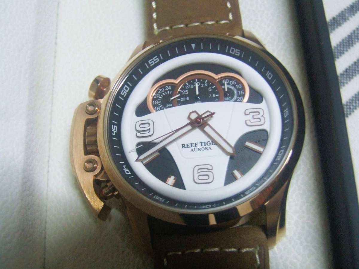 This watch is a Reef Tiger Aurora Rally S2 model,